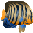 SanDiegoReefs
